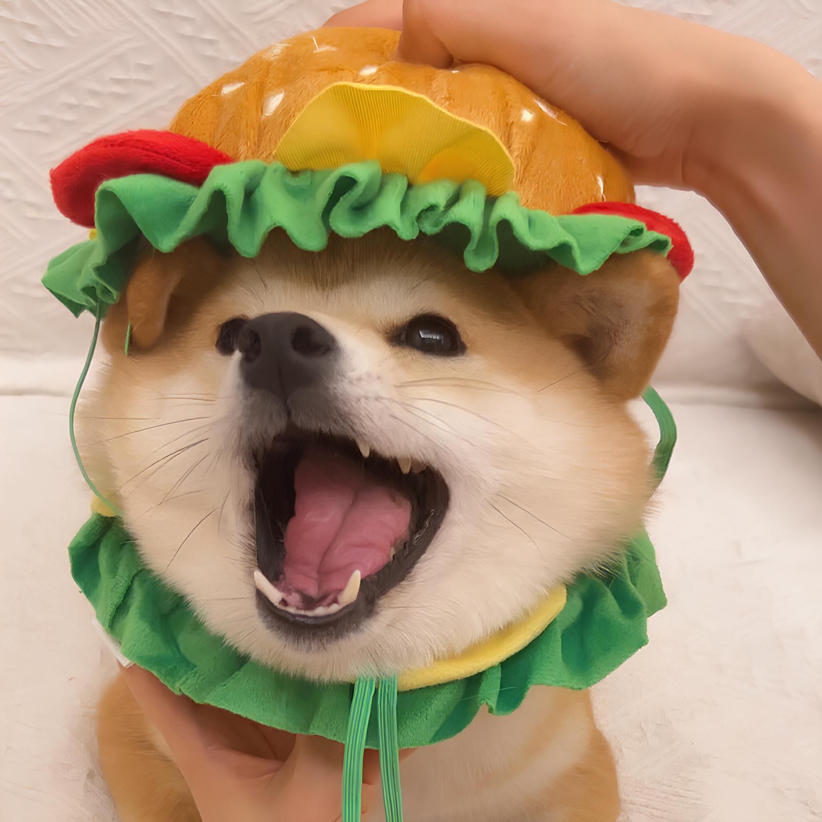 Fluffee Cute Hamburger Pet Hat