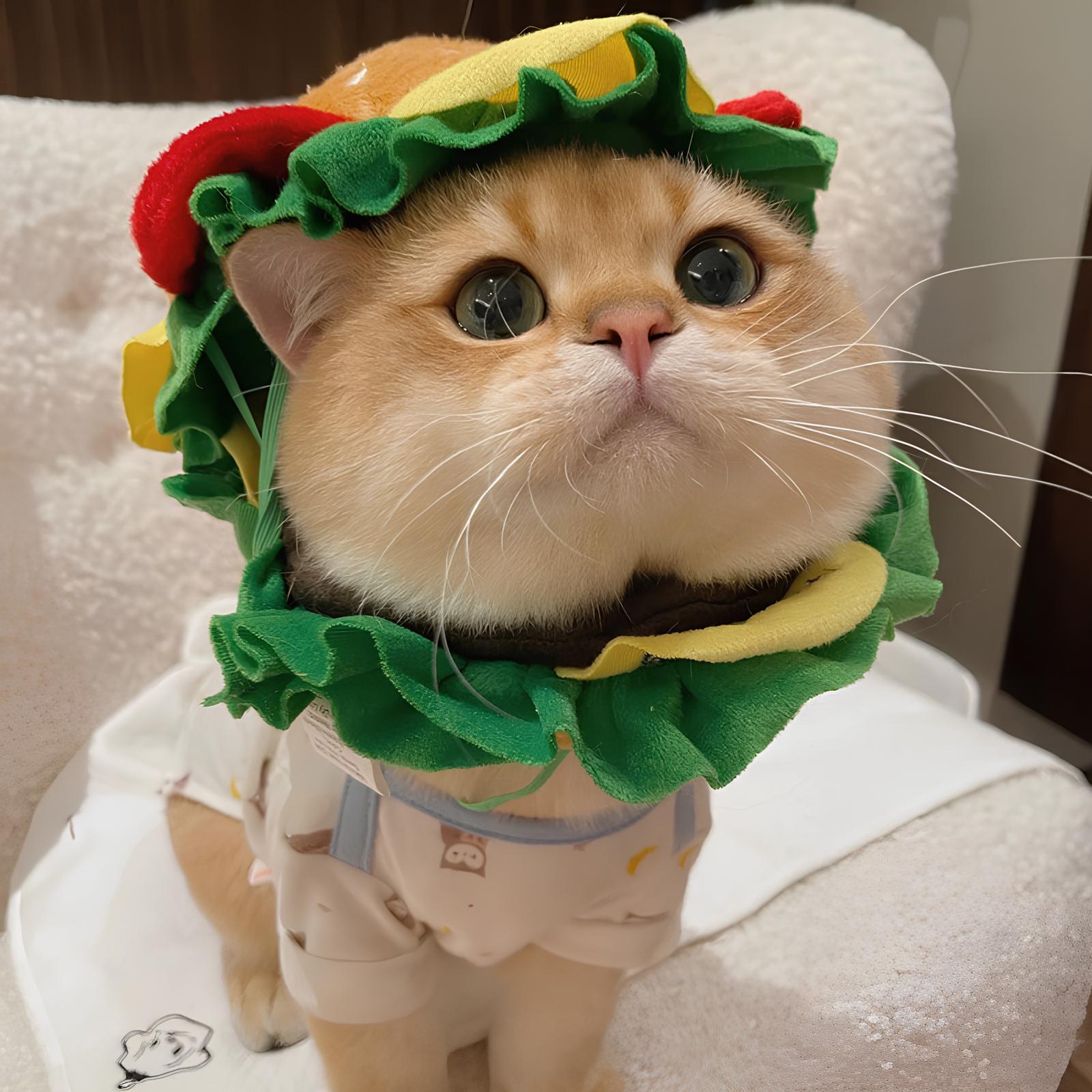 Fluffee Cute Hamburger Pet Hat